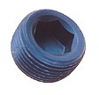 NPT Plug Socket Head